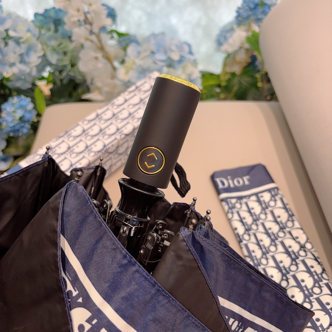 Dior Umbrella