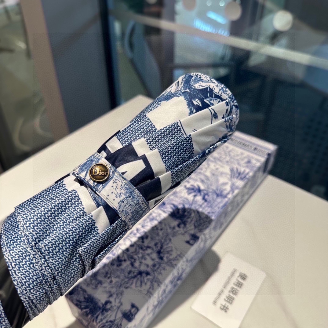 Dior Umbrella