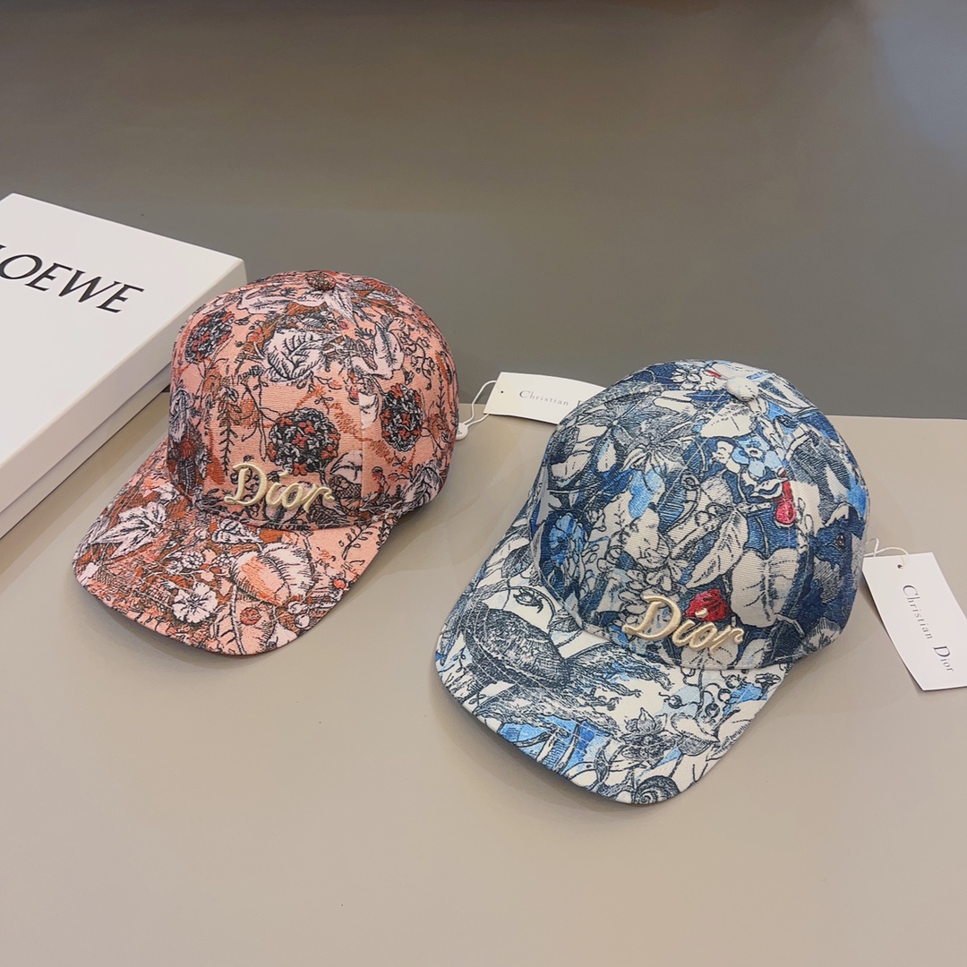 Dior Baseball Cap 2-Color