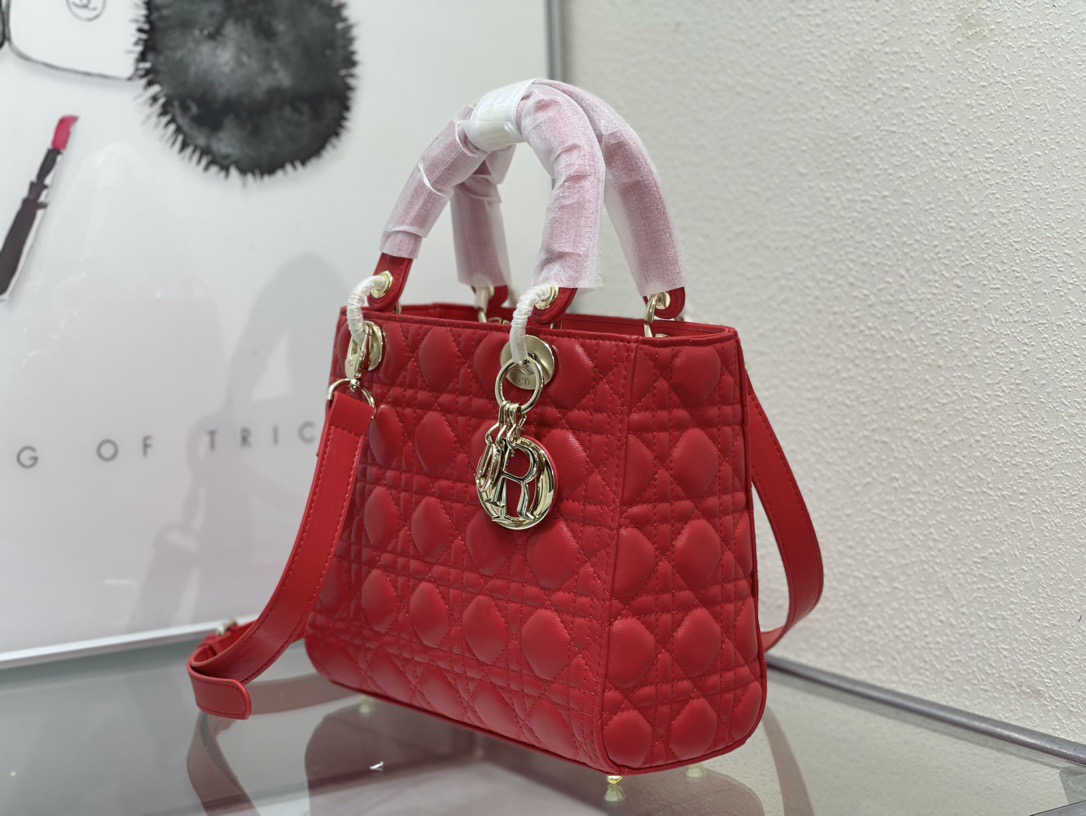 Dior Lady Women Shoulder Bags 24*20*11cm