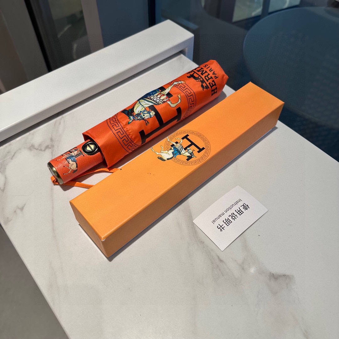 Hermes Umbrella