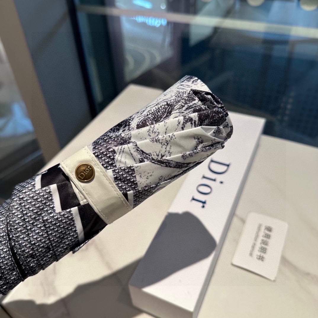 Dior Umbrella