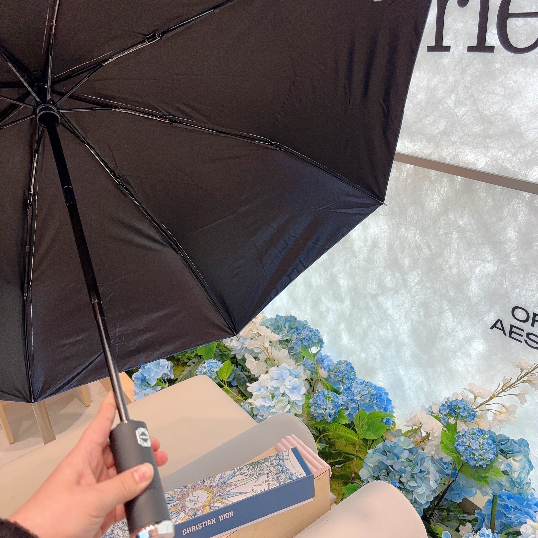Dior Umbrella