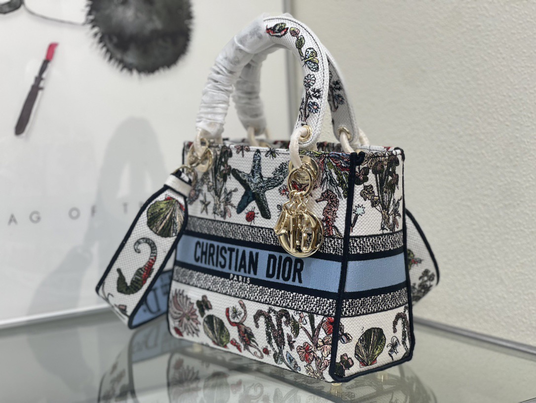 Dior Lady Women Shoulder Bags 24*20*11cm