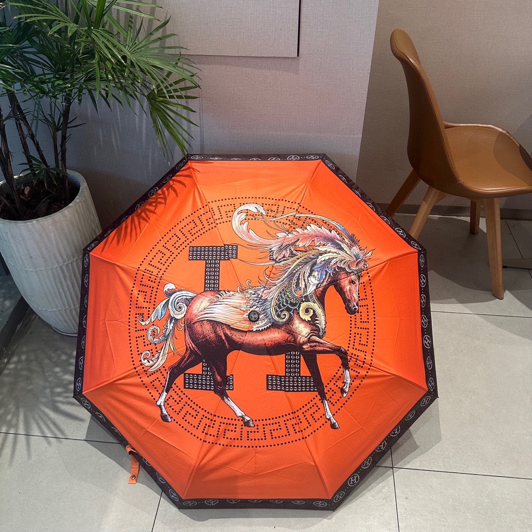 Hermes Umbrella