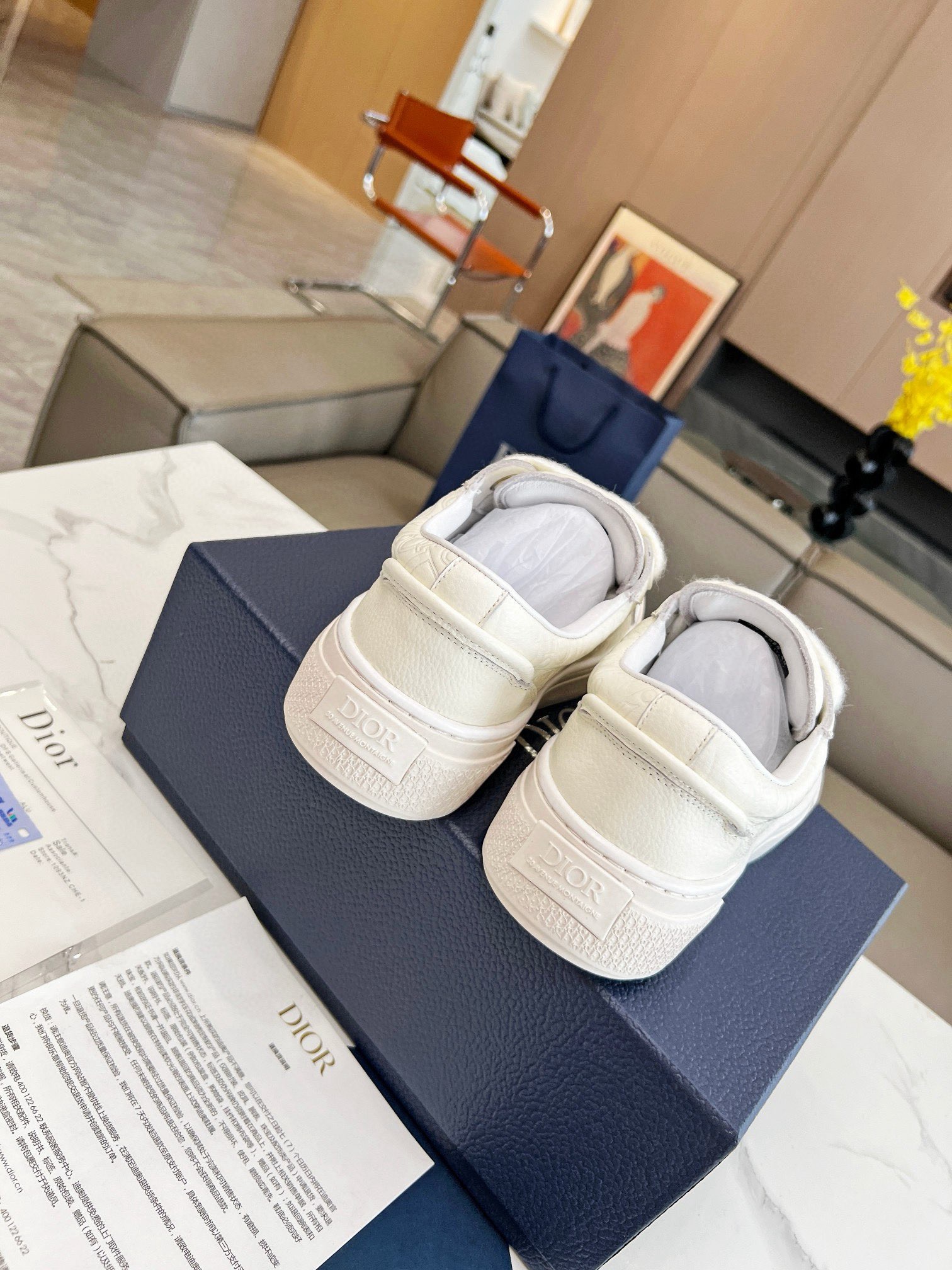 Dior B33 Sneaker Size 36-46