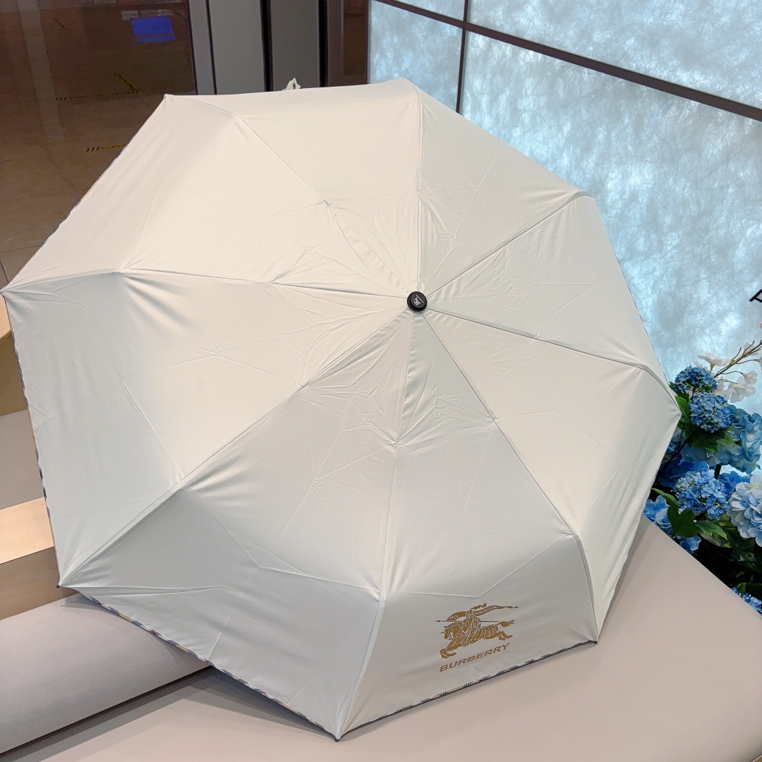 Burberry Umbrella