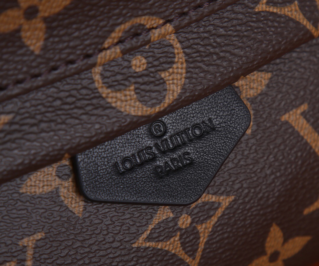 Louis Vuitton Nicolas Ghesquiere Palm Springs Mini Backpack Bags 17*22*10cm