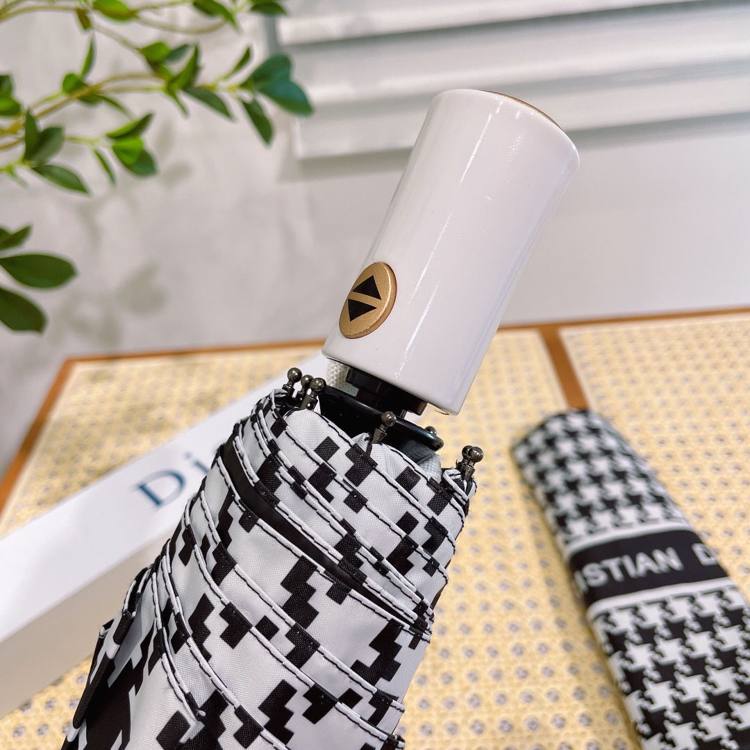 Dior Umbrella