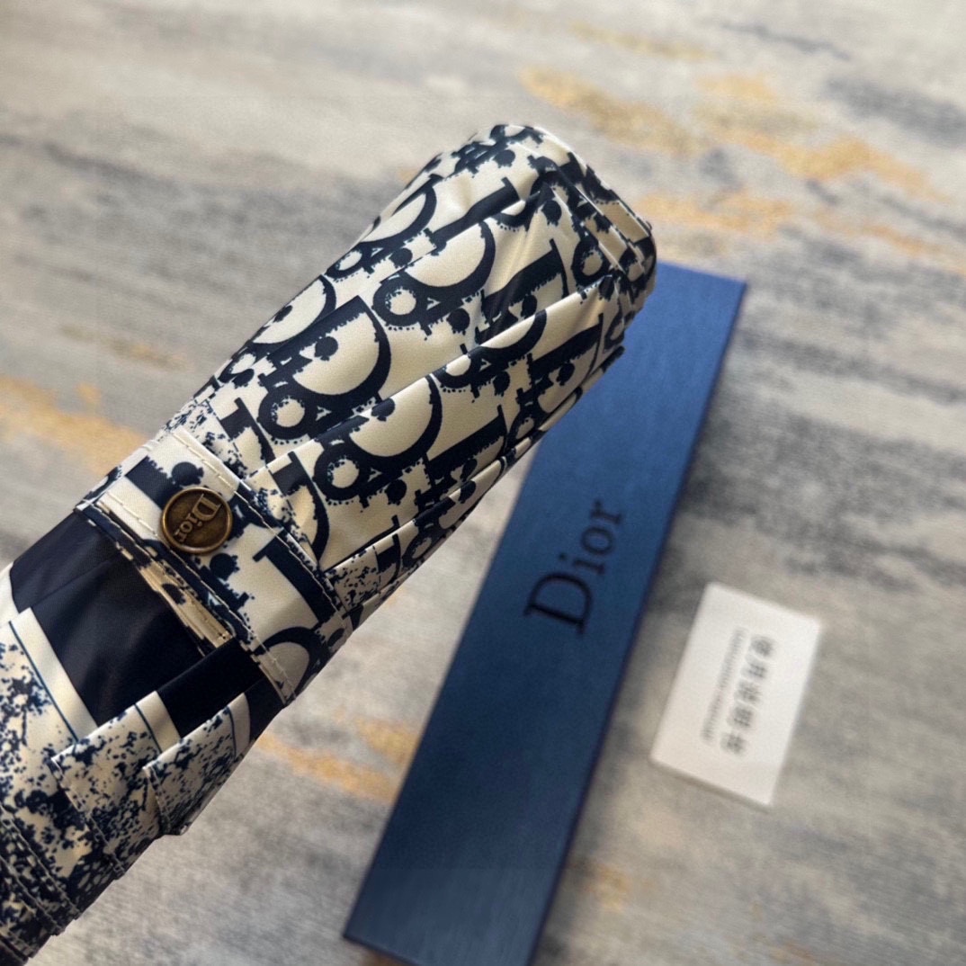 Dior Umbrella