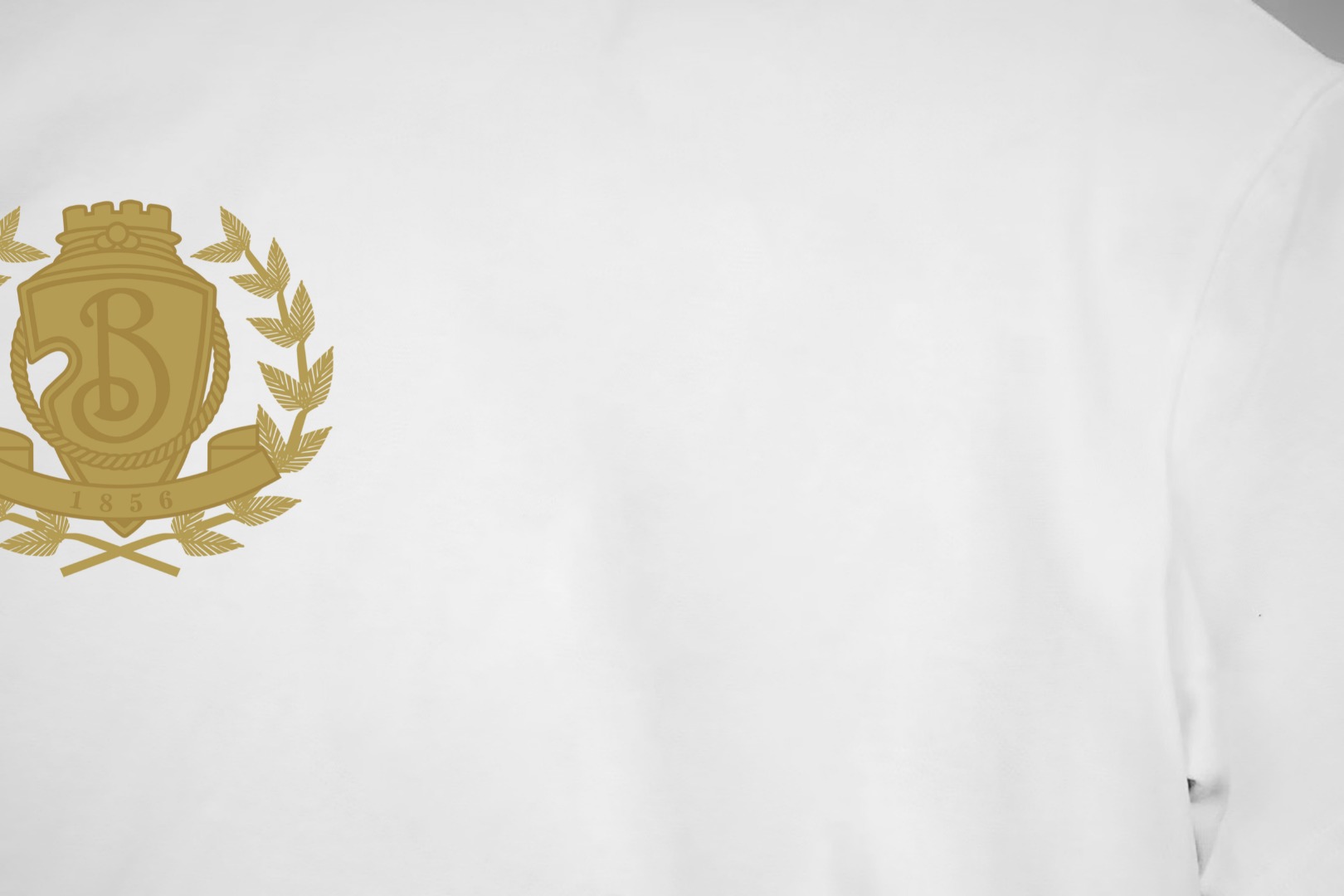 Burberry Cotton T Shirt Size XS-L