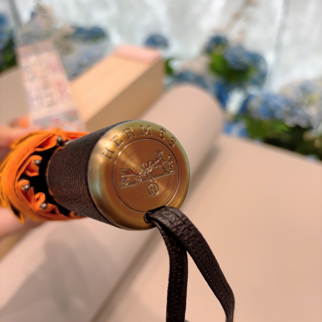 Hermes Umbrella