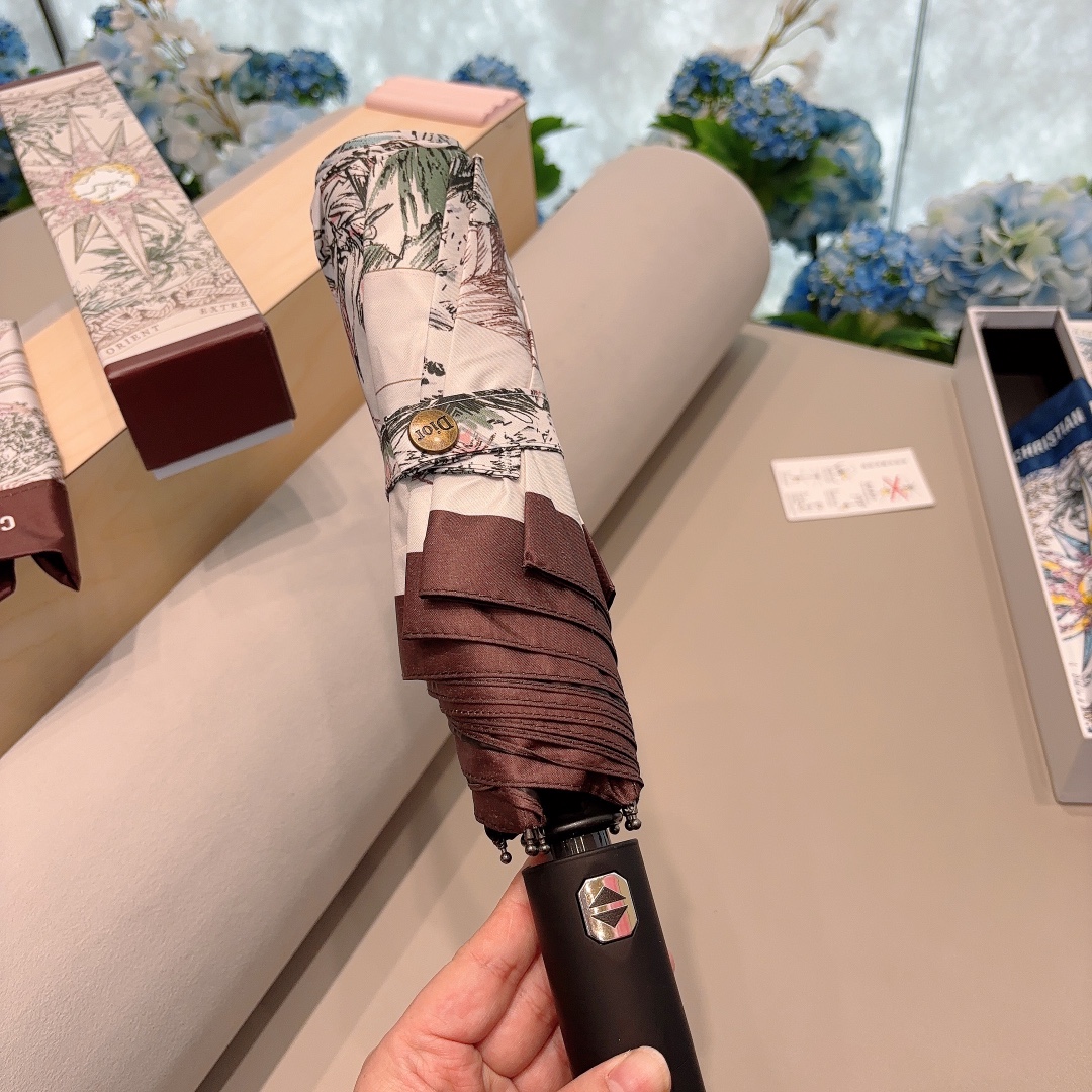 Dior Umbrella