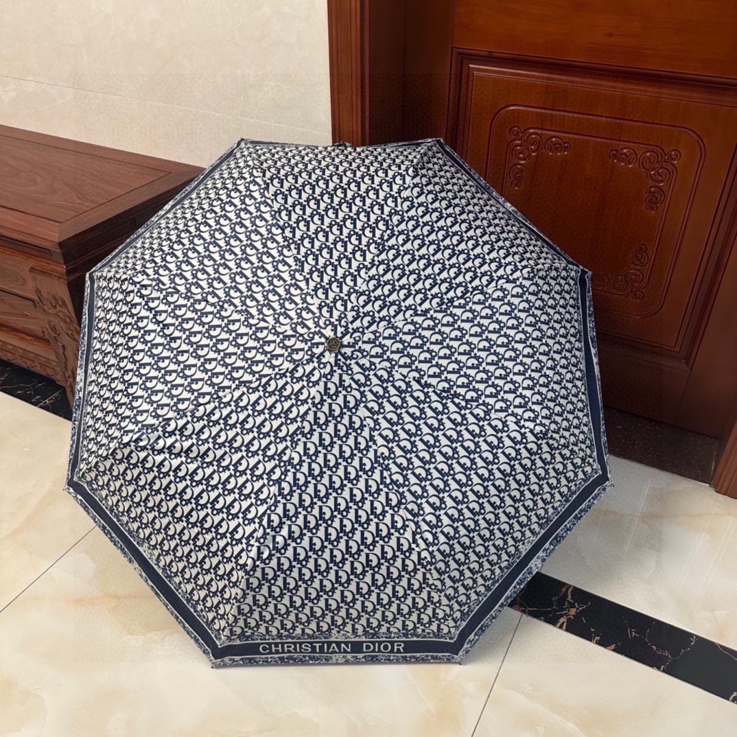Dior Umbrella