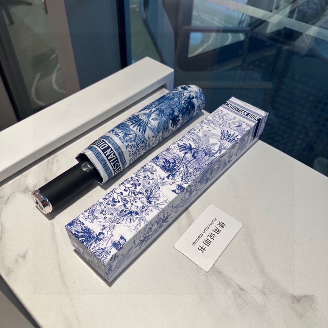 Dior Umbrella