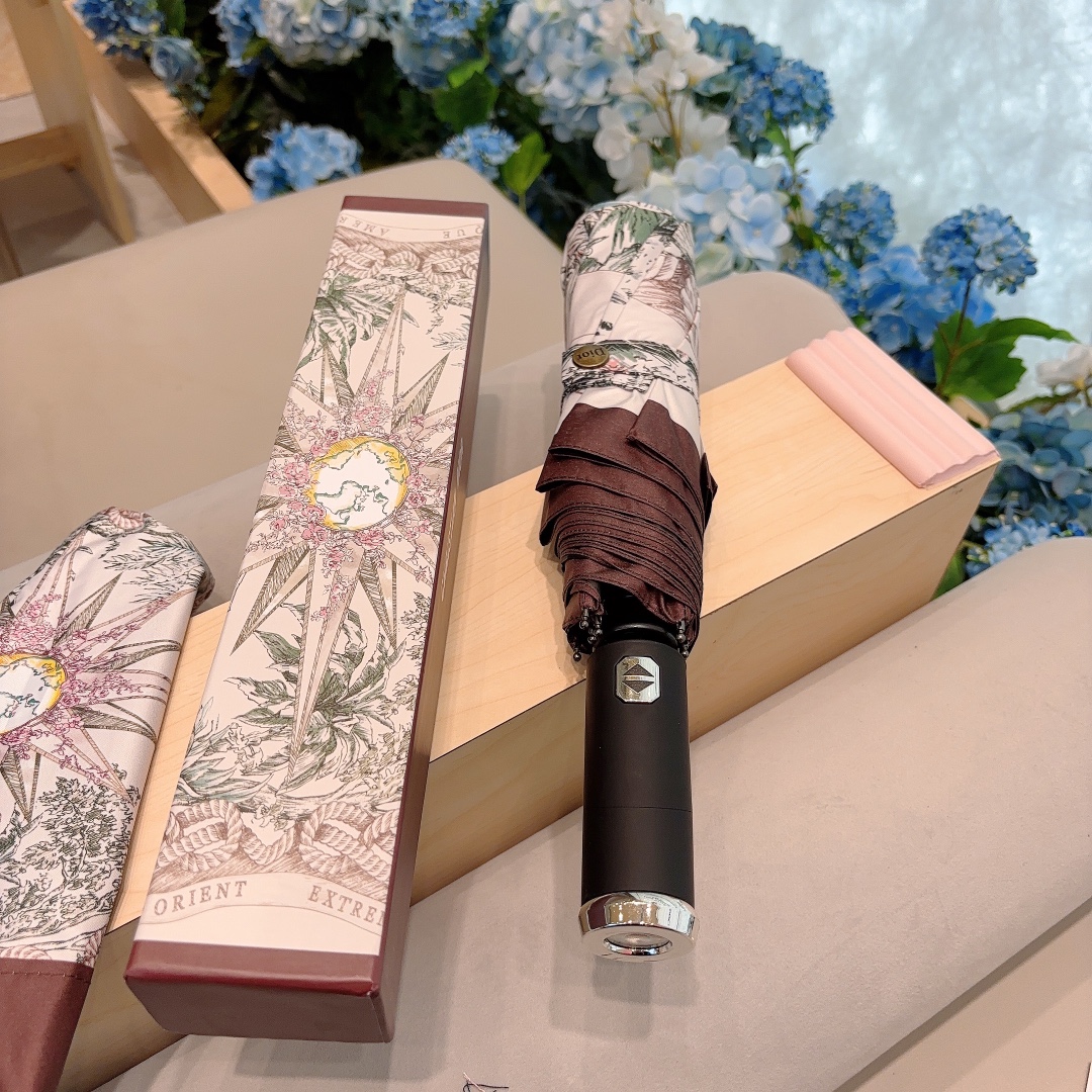 Dior Umbrella