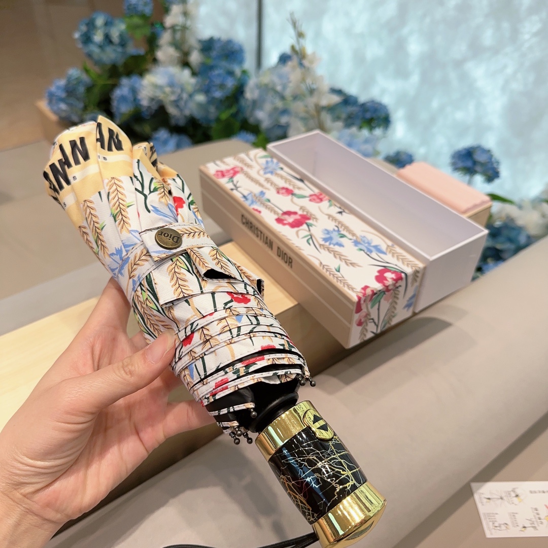 Dior Umbrella