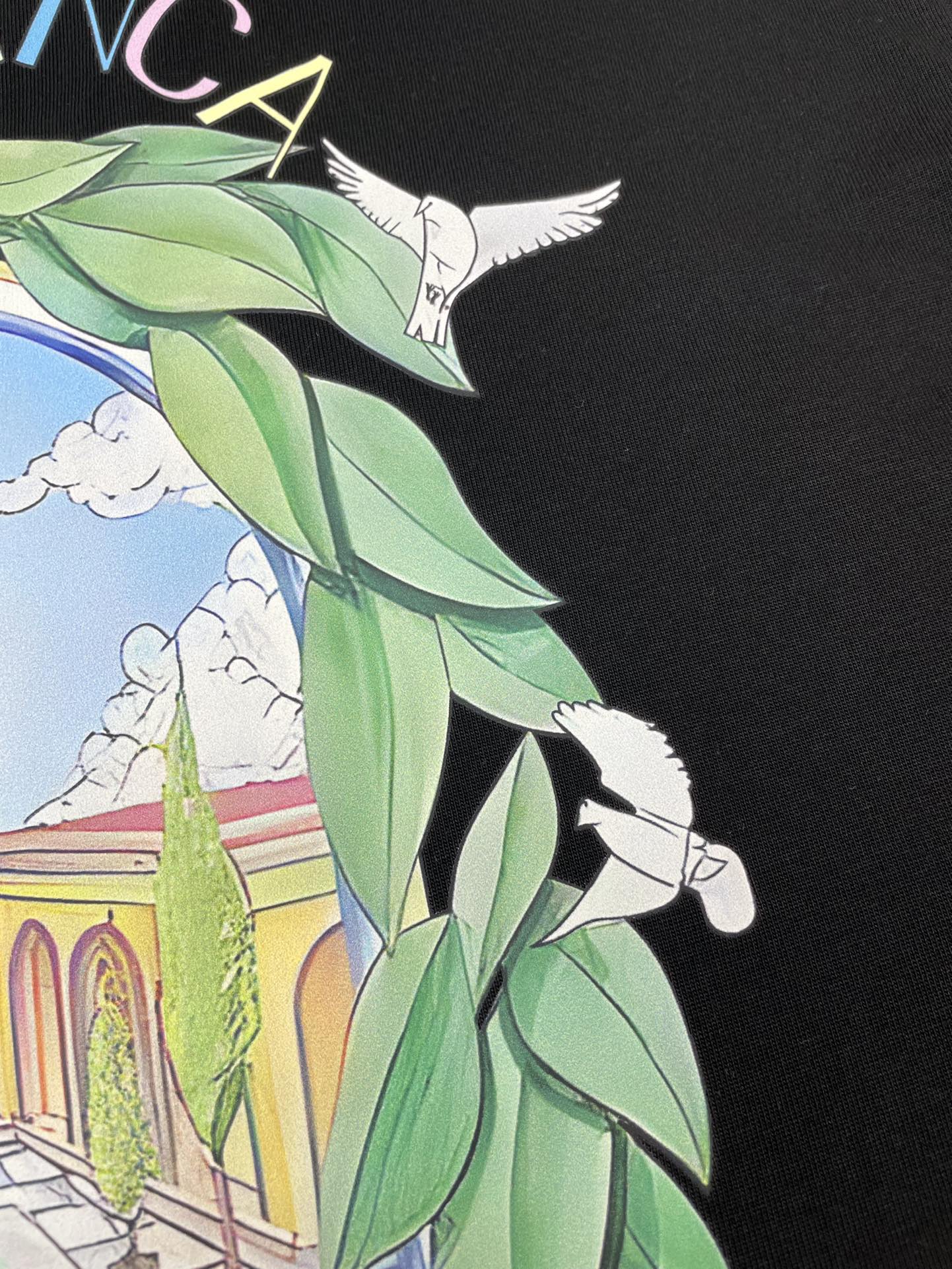 Casablanca T Shirt Size S-XL