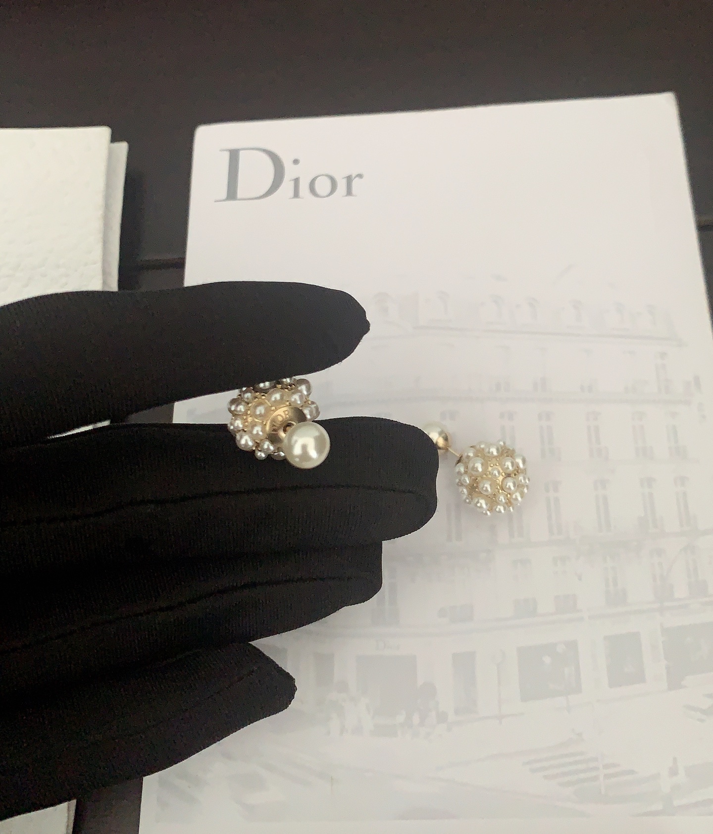Dior Earrings