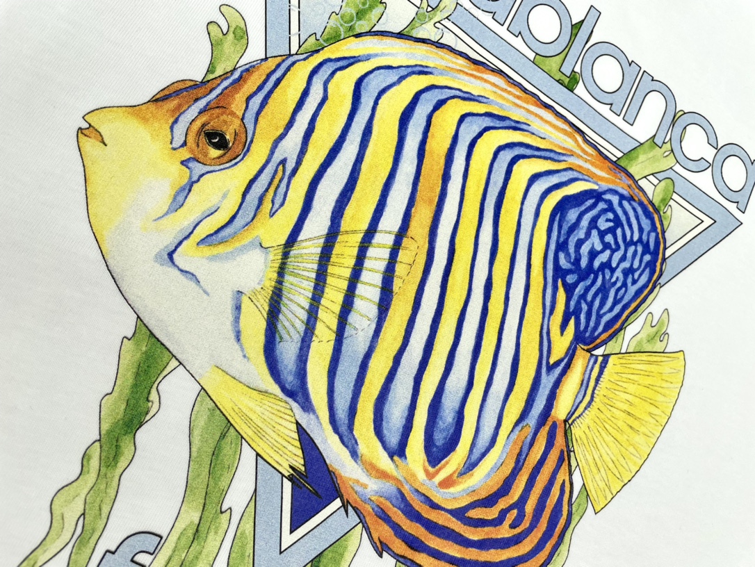 Casablanca T Shirt Size S-XL