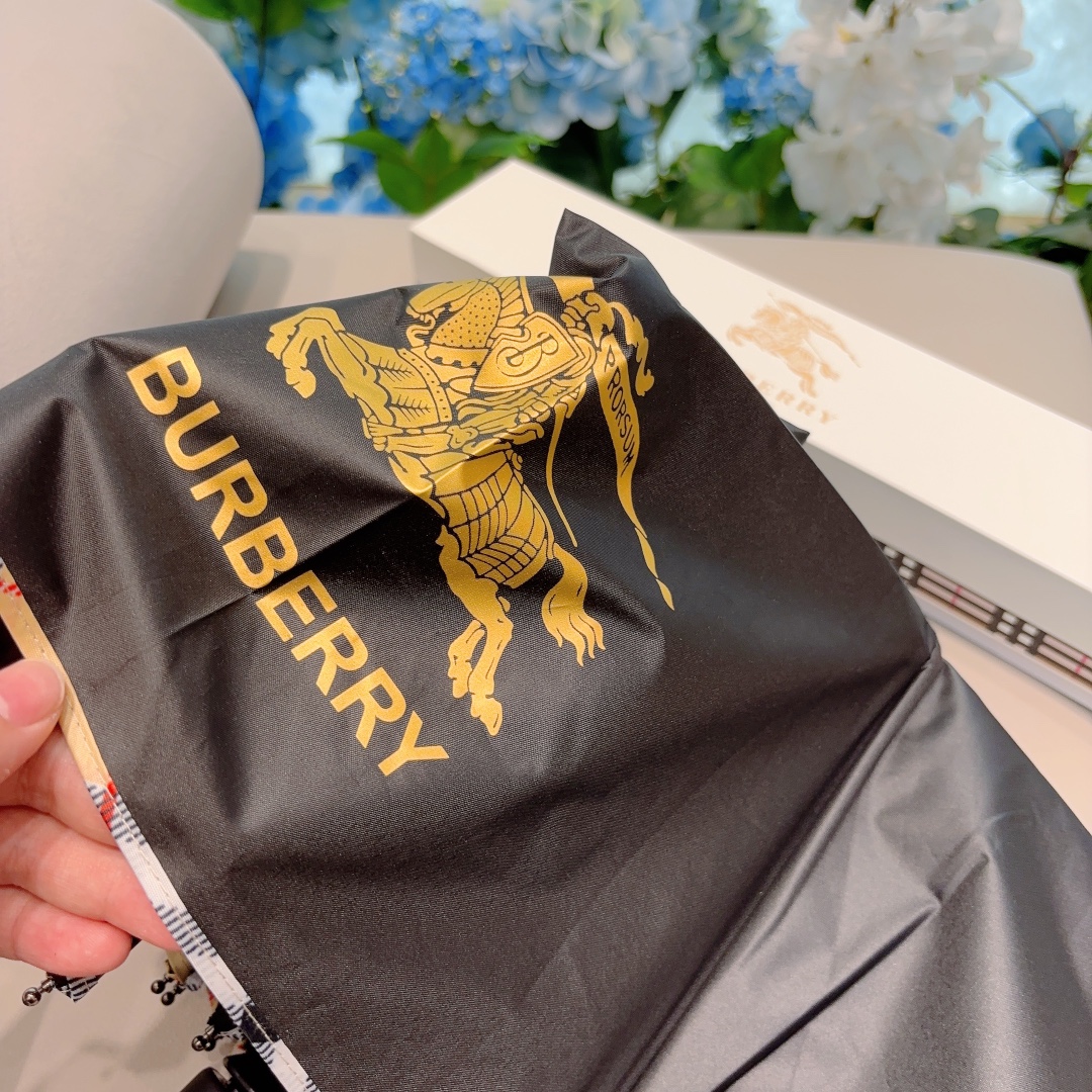 Burberry Umbrella