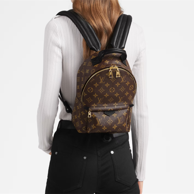 Louis Vuitton M44871 M44873 M44874 Palm Springs Backpack 3 Size