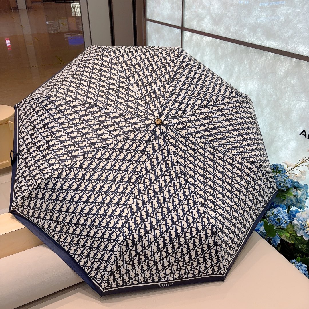 Dior Umbrella
