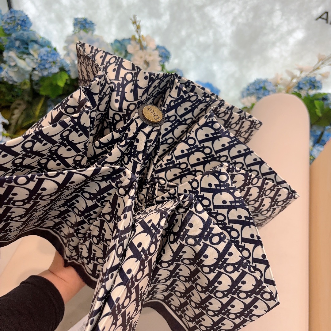 Dior Umbrella