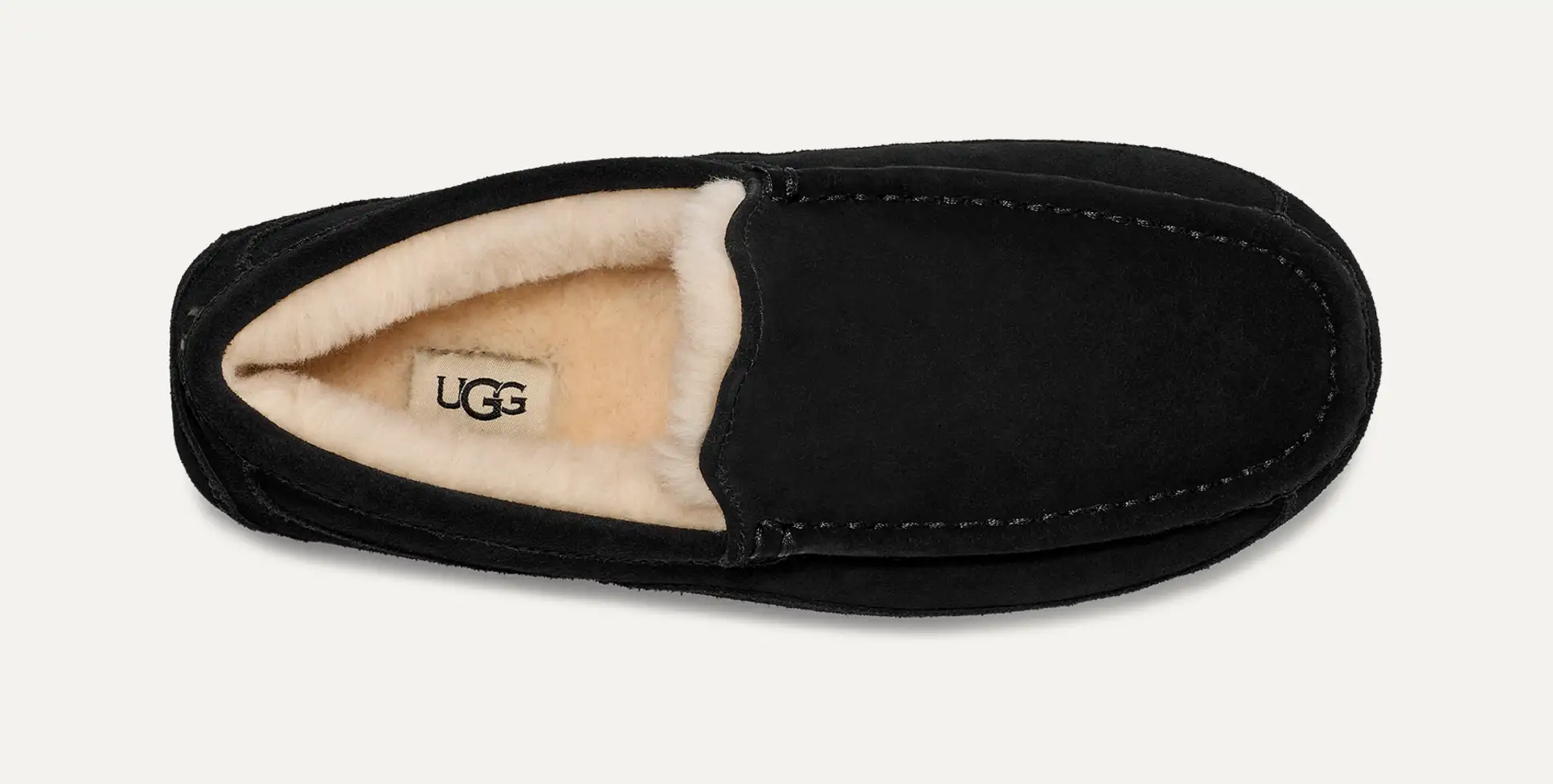 UGG Men's Ascot