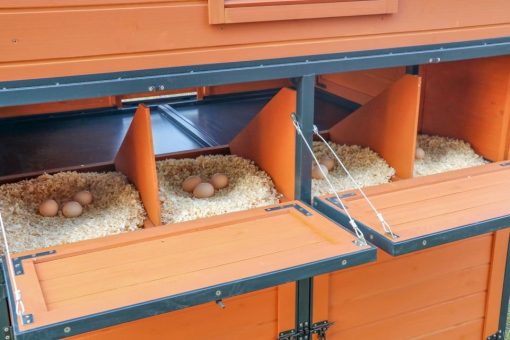 Walk-In Weatherproof Large Chicken Coop