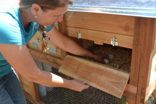 Walk-In Coop domed chicken house