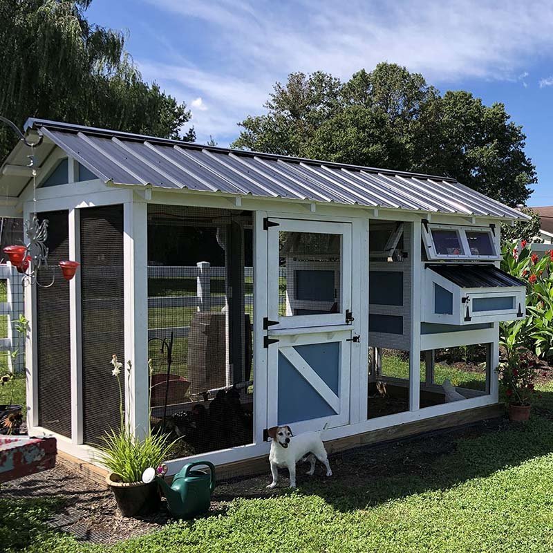 Outdoor Chicken Coop