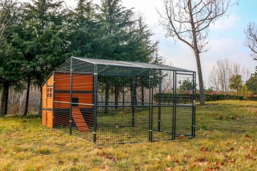 Walk-In Weatherproof Large Chicken Coop
