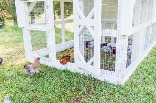Large Fairy Tale Town Chicken House