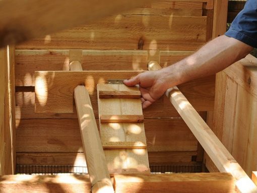 Walk-In Coop domed chicken house