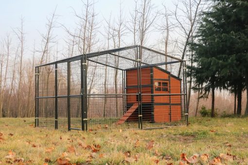 Walk-In Weatherproof Large Chicken Coop