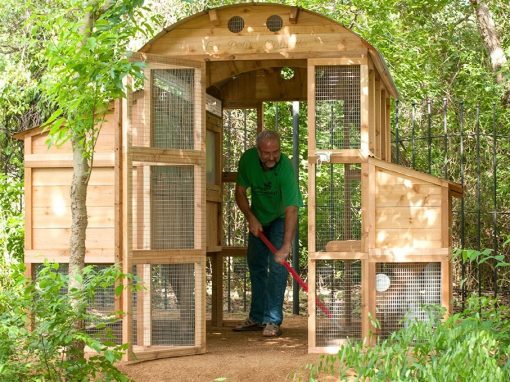 Walk-In Coop domed chicken house