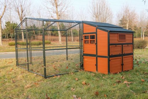 Walk-In Weatherproof Large Chicken Coop