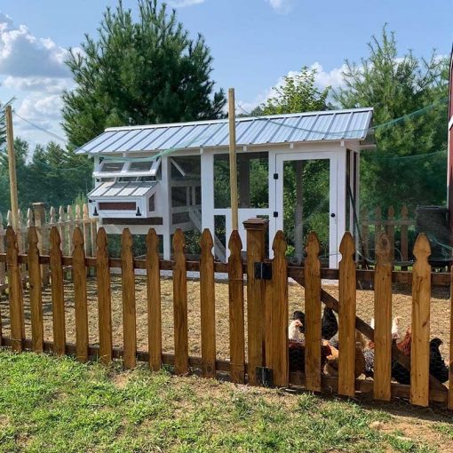 Outdoor Chicken Coop