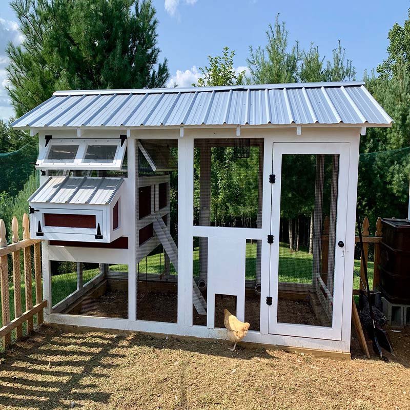 Outdoor Chicken Coop