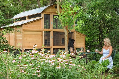 Walk-In Coop domed chicken house