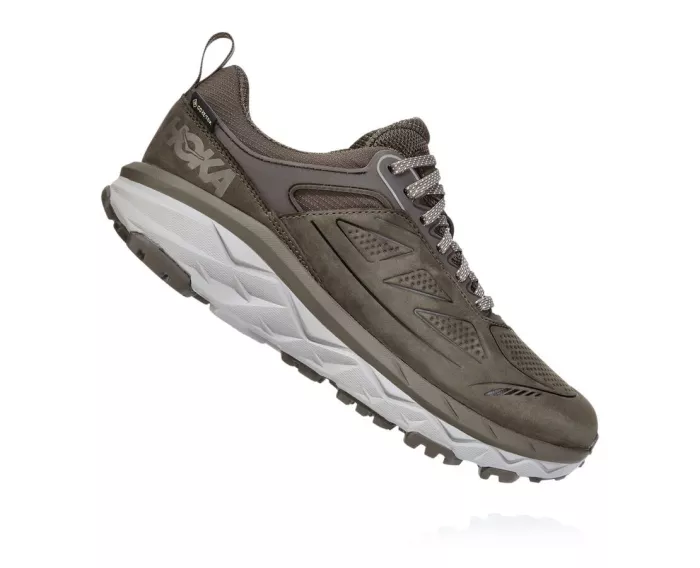 Women'S Challenger Low Gore-Tex