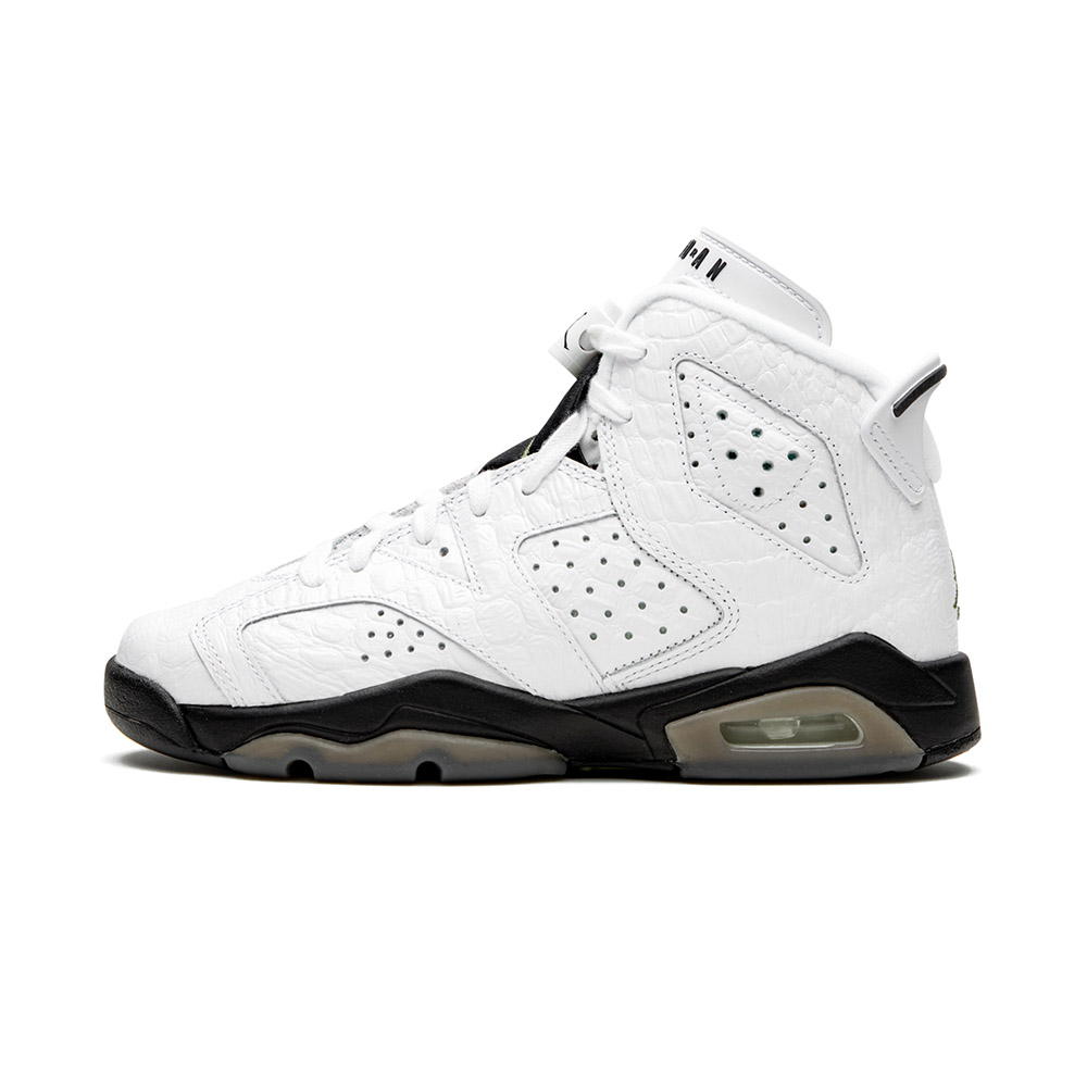 Youth Jordan Air Jordan 6 Retro (GS) “Alligator” 384665-110