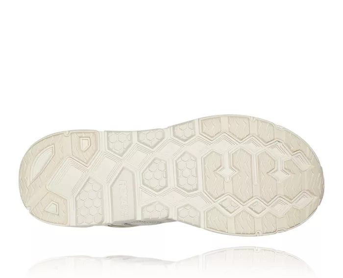 All Gender Clifton L