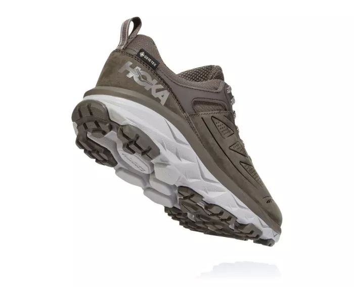 Women'S Challenger Low Gore-Tex