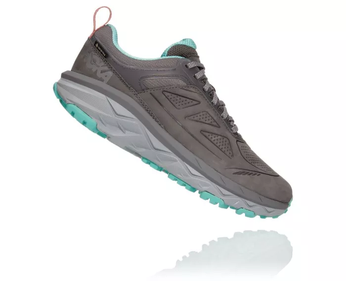 Women'S Challenger Low Gore-Tex