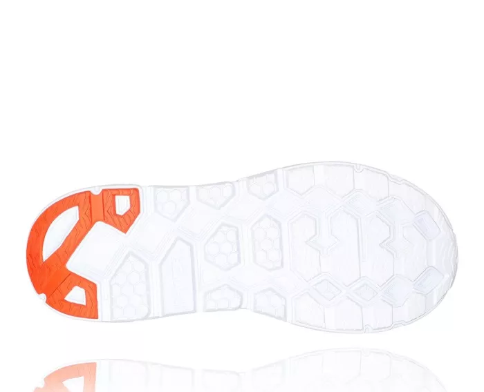 All Gender Clifton L