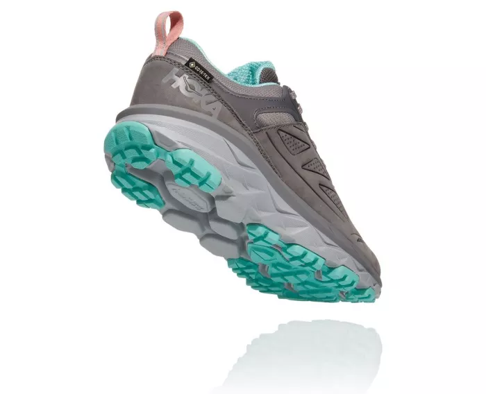 Women'S Challenger Low Gore-Tex
