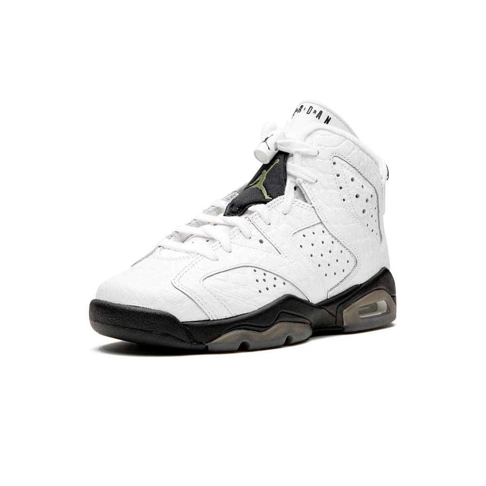 Youth Jordan Air Jordan 6 Retro (GS) “Alligator” 384665-110