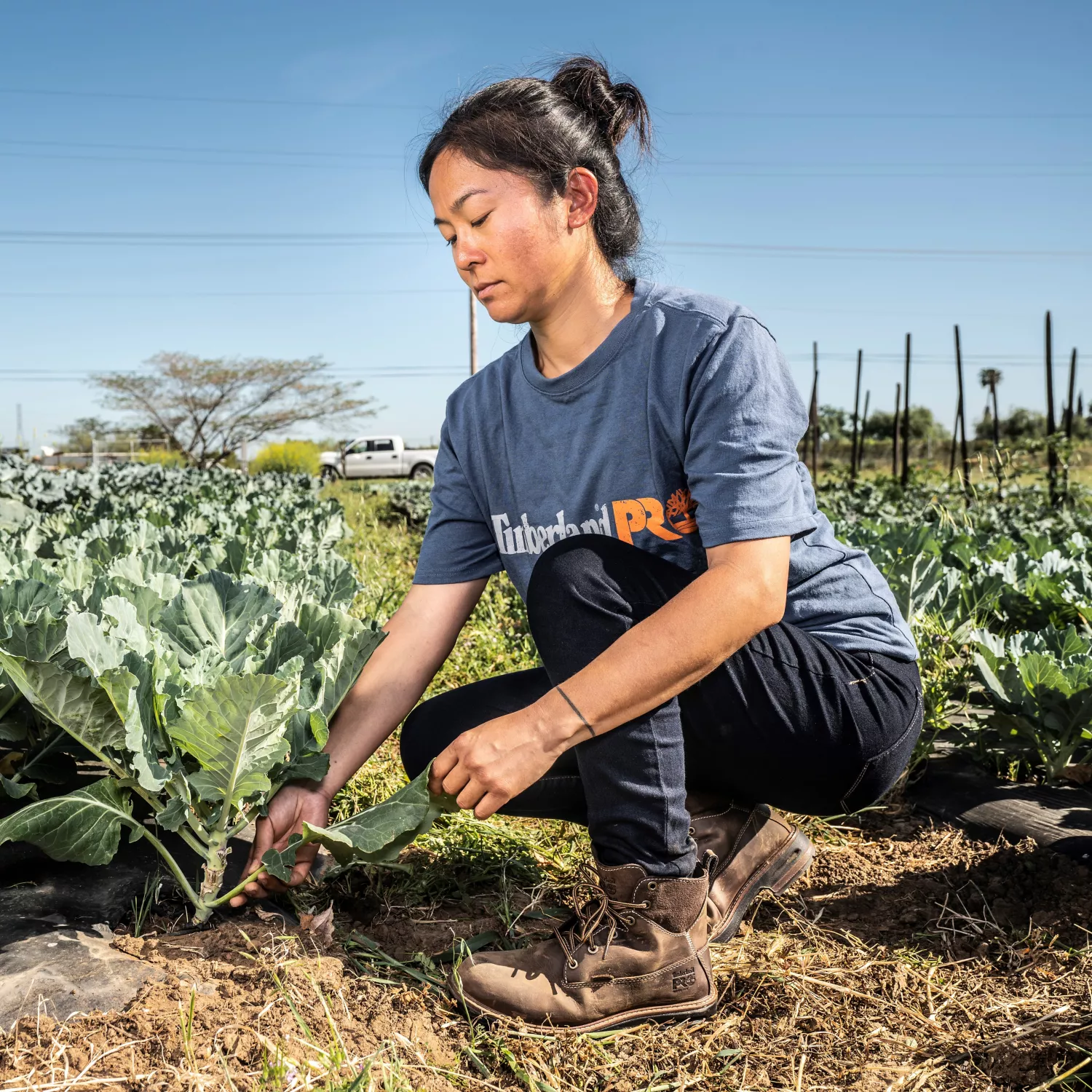 Women's Hightower 6 Alloy Toe Waterproof Work Boot